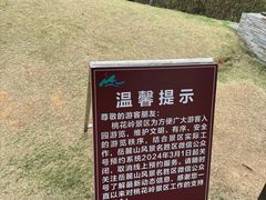 -桃花岭景区