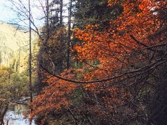 -叠溪松坪沟景区