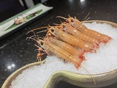 -daozao料理美术馆(东营店)