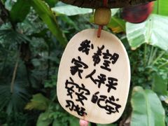 -呀诺达热带雨林