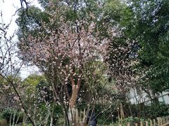 -上海市保健医疗中心(华东疗养院)