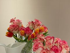 -龙大花卉苗木市场