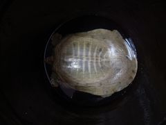 -兄弟宁乡龙城(麓景路店)