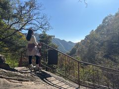 -王顺山国家森林公园