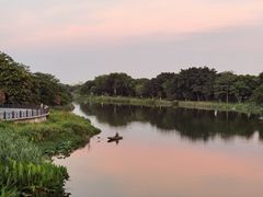 -海珠湖公园