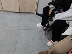 -半岛宠物医院24小时(西派城店)