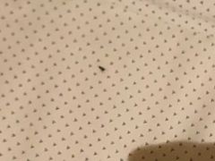 -宁波余姚老柿林山居度假村