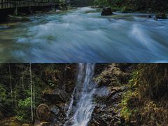 -九龙江国家森林公园