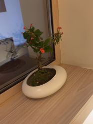 -AGE LOCK 锁龄美肌