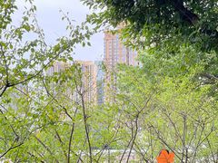 -望江楼公园