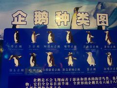 -泉城欧乐堡海洋极地世界