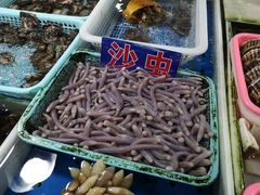 -十四涌水产中心