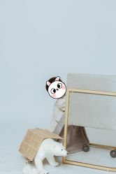 -小熊维尼高端儿童摄影(宝安旗舰店)