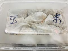 -熊大爷现包饺子(和平里店)