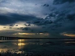 -宝安西湾红树林湿地公园