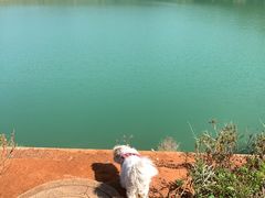 -孔雀湖生态旅游区