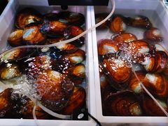 -十八字金·银饰·拼豆·开蚌DIY(魏公芳华里店)