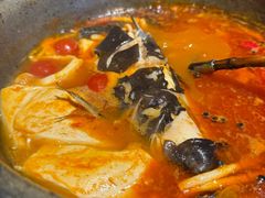 -Ameigo梅果·云贵川bistro(长宁来福士店)