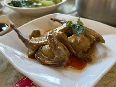 -百利鸽王(紫薇路店)