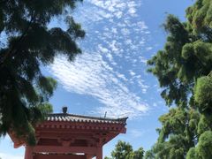 -卤阳湖国家湿地公园