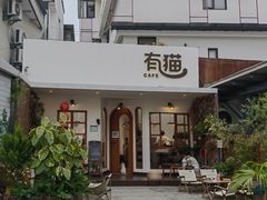 -有猫主题·治愈系猫咖(曾厝垵店)
