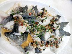 -有腥气私房菜·寻味顺德