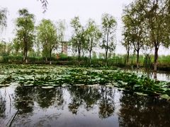 -永定河休闲森林公园