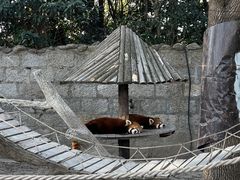 -上海野生动物园