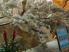 -碧水豪园·足浴·SPA·汗蒸·那须汤泉(中山东路店)