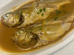 小黄鱼-温岭人家(红花北路店)