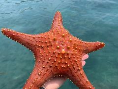 -西涌国际滨海旅游区