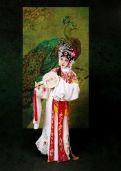 -梨园天地京剧摄影(玲珑天地店)