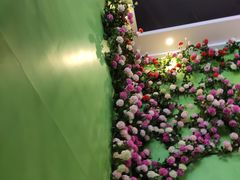 -肖仙仙羊肉汤·始于1996年(郫都店)
