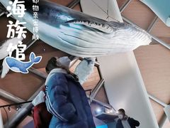 -贝林大翅鲸简餐厅(国家海洋博物馆店)