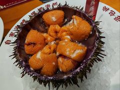 马粪海胆-南山小渔村•大连海鲜大连菜(七七街店)