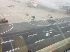 -星巴克(浦东机场T2到达店)