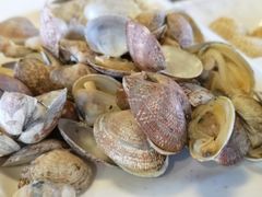 -乌托邦轰趴日租聚会别墅(先生的院子店)