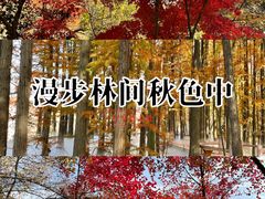 -东湖落雁景区