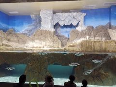 -成都浩海立方海洋公园