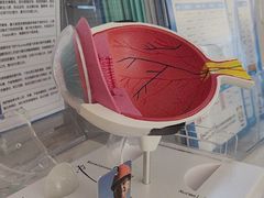 -西安普瑞眼科医院·近视手术·视力防控