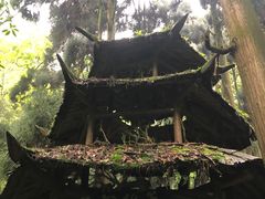 -青城山