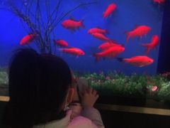 -蜀锦堂·川味现炒(襄阳武商汇店)