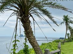 -海龙珠海鲜餐厅