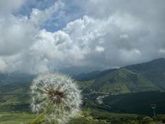 -灵山