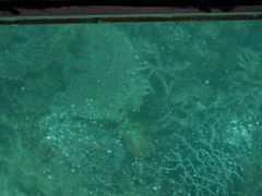 -东姑阿都拉曼海洋公园