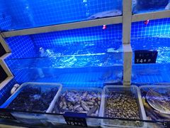 -威海渔村(静安旗舰店)