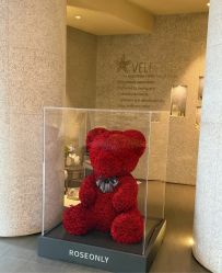 -VELEE·SPA高定疗愈会所