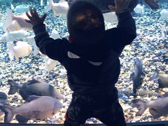 -成都浩海立方海洋公园