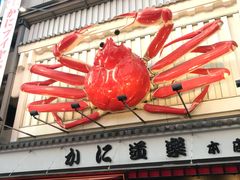 -蟹道乐(道顿堀本店)