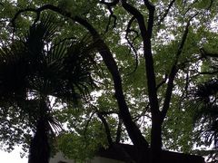 -西郊宾馆·1921餐厅